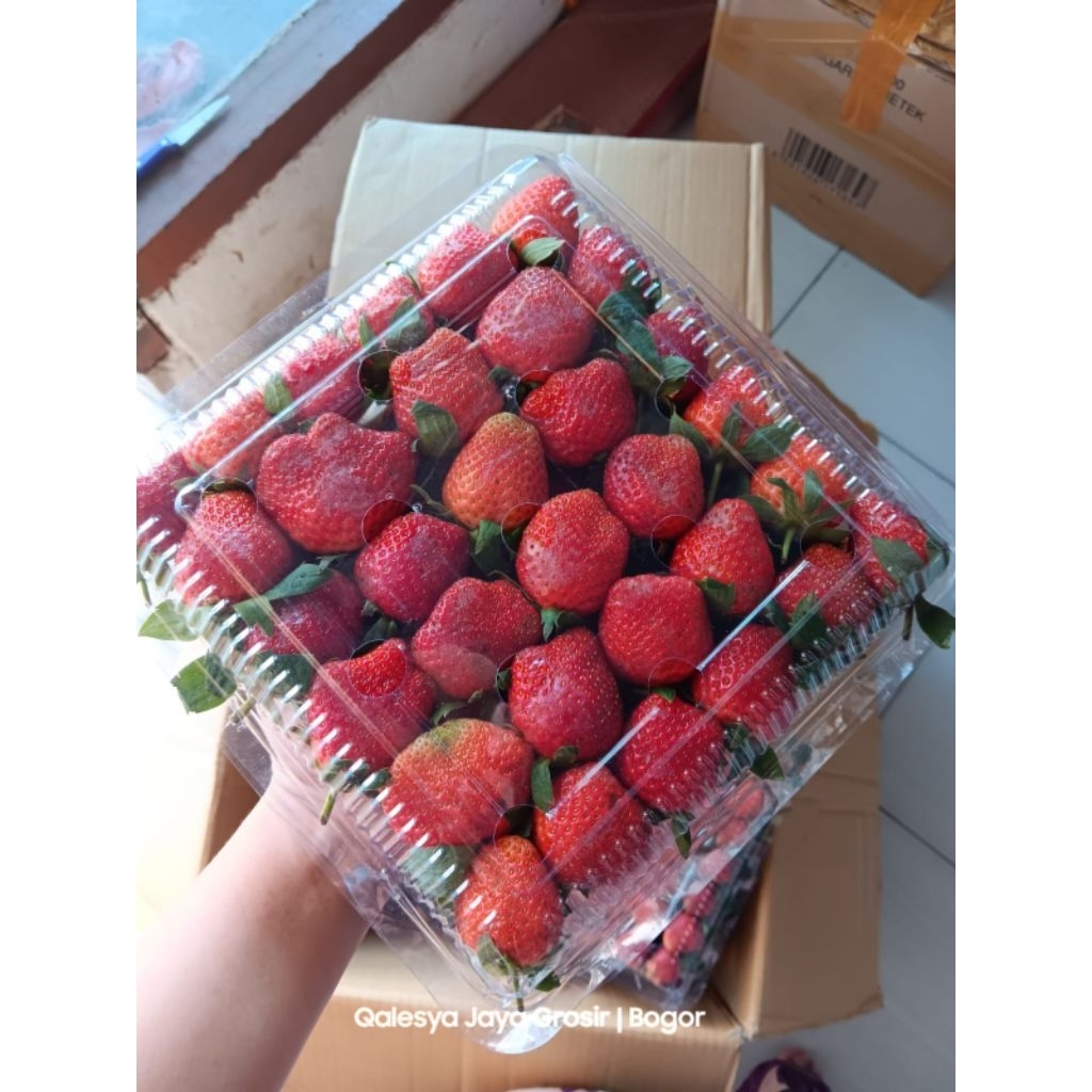 

Strawberry Segar Mika 850gr - 1kg Promo