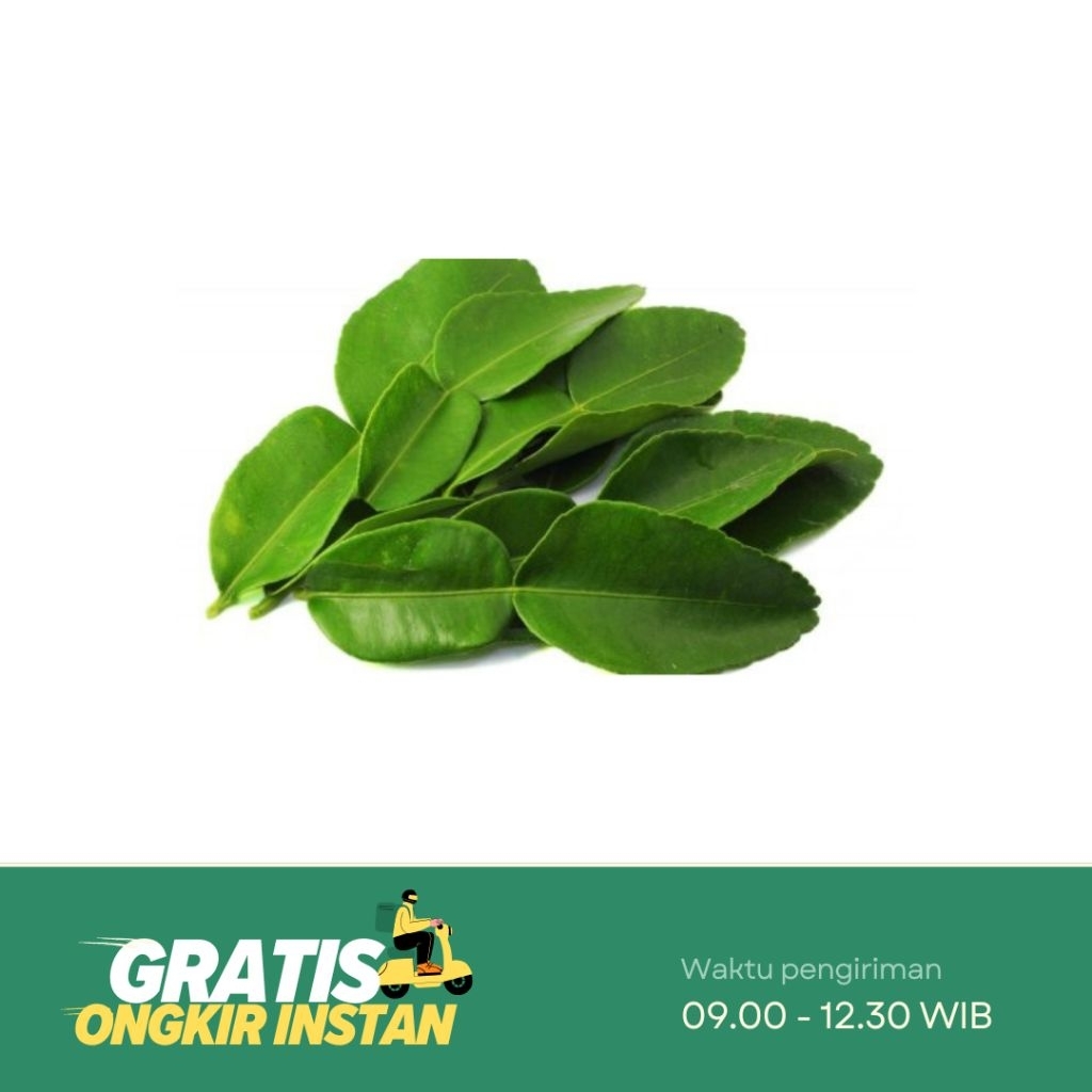 

Daun Jeruk 10-15 lembar