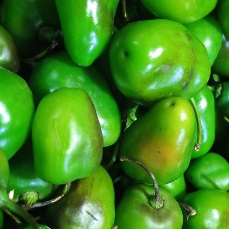 

Cabe Gendot Asli Jawa Barat | Pedas Tajam – Untuk Masakan & Sambal Tradisional