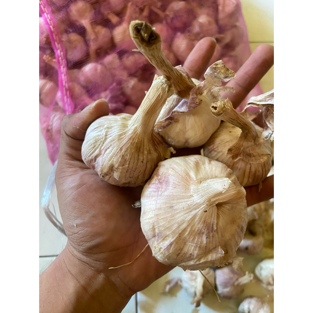 

bawang putih kotor sico isi 250gr