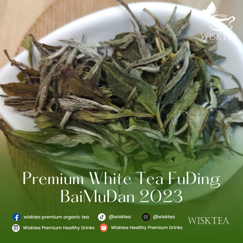 

WiskTea – FuDing BaiMuDan White Tea | White Peony | 50gr | Teh Putih Premium 2023