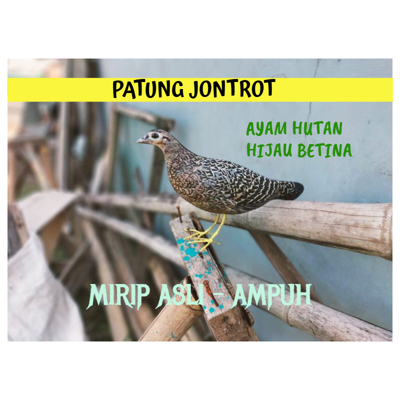 PATUNG JONTROT AYAM HUTAN HIJAU BETINA - JONTROT AYAM HUTAN HIJAU BETINA