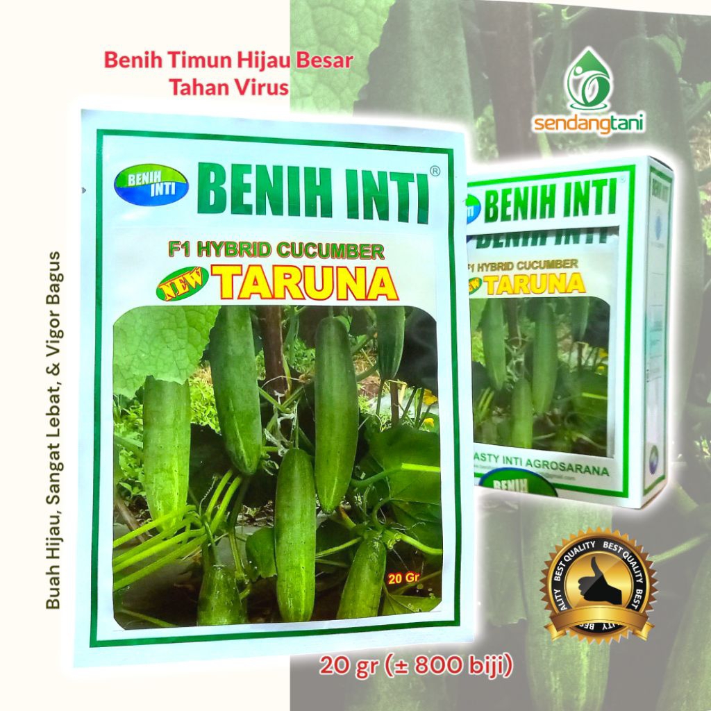 Benih Timun Hijau Besar TARUNA F1 Bibit Mentimun Tahan Virus Benih Inti