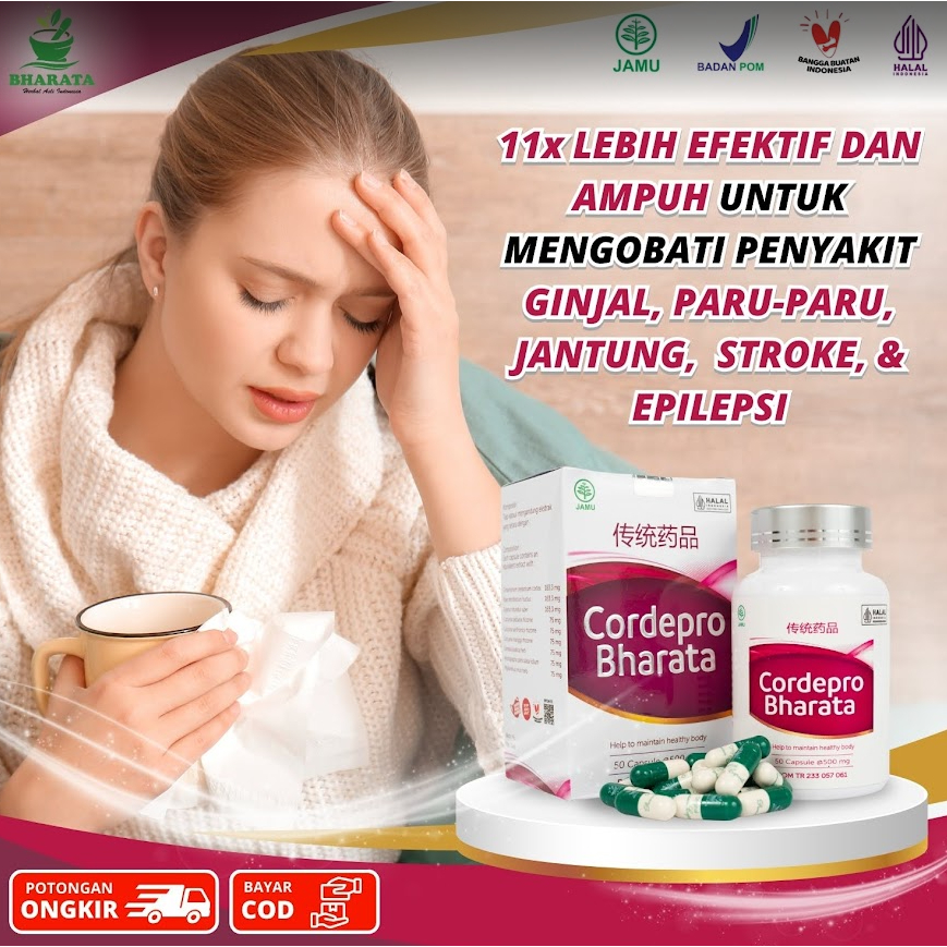 Obat Batu Ginjal Cordepro Bharata Obat Penghancur Batu Ginjal Obat Herbal Ginjal Paling Ampuh