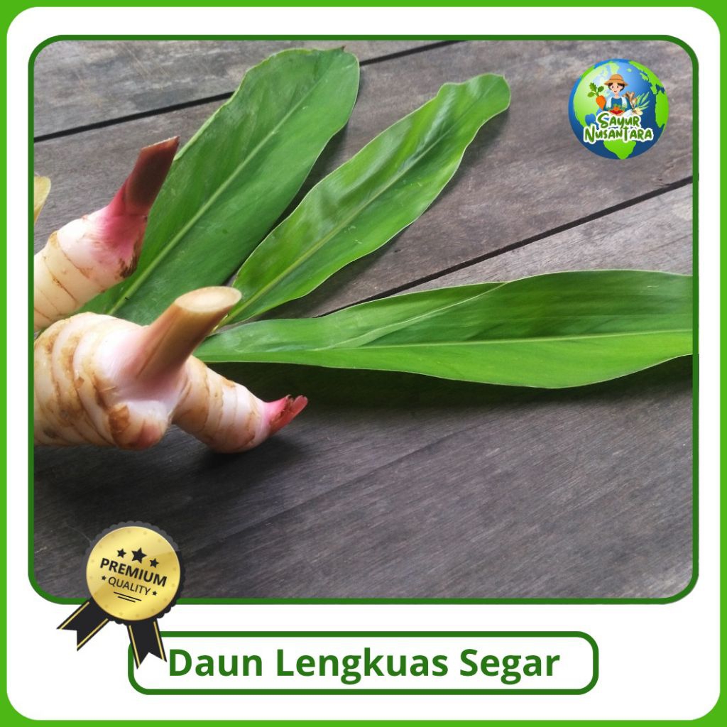 

Daun Lengkuas Segar Murah [250g] COD