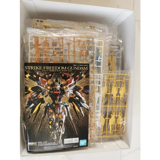 Bandai MGEX 1/100 Strike Freedom