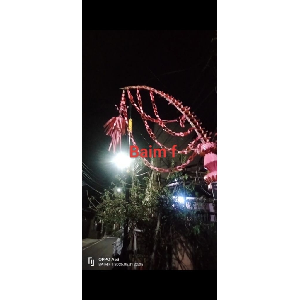 janur pernikahan/janur besar/janur custom warna/janur