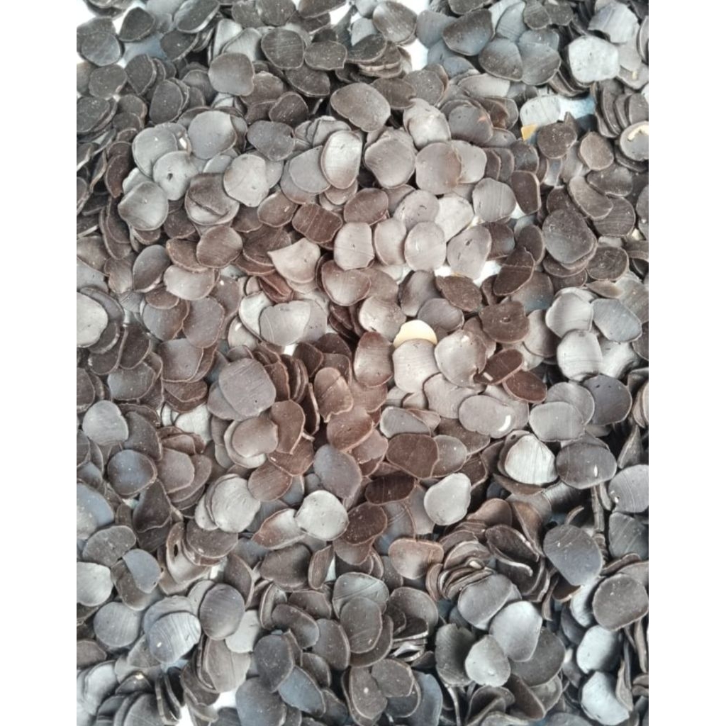 

Kerupuk Jengkol Mentah