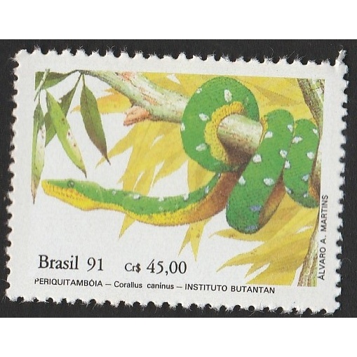 

A 10617 SATU BUAH PRANGKO BRASIL YAHUN 1991 TEMA SATWA ULAR PERIQUITAMBOIA DENGAN KONDISI BELUM ADA CAP
