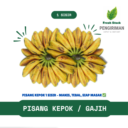 

PISANG KEPOK / GAJIH PER SISIR | FreshStock