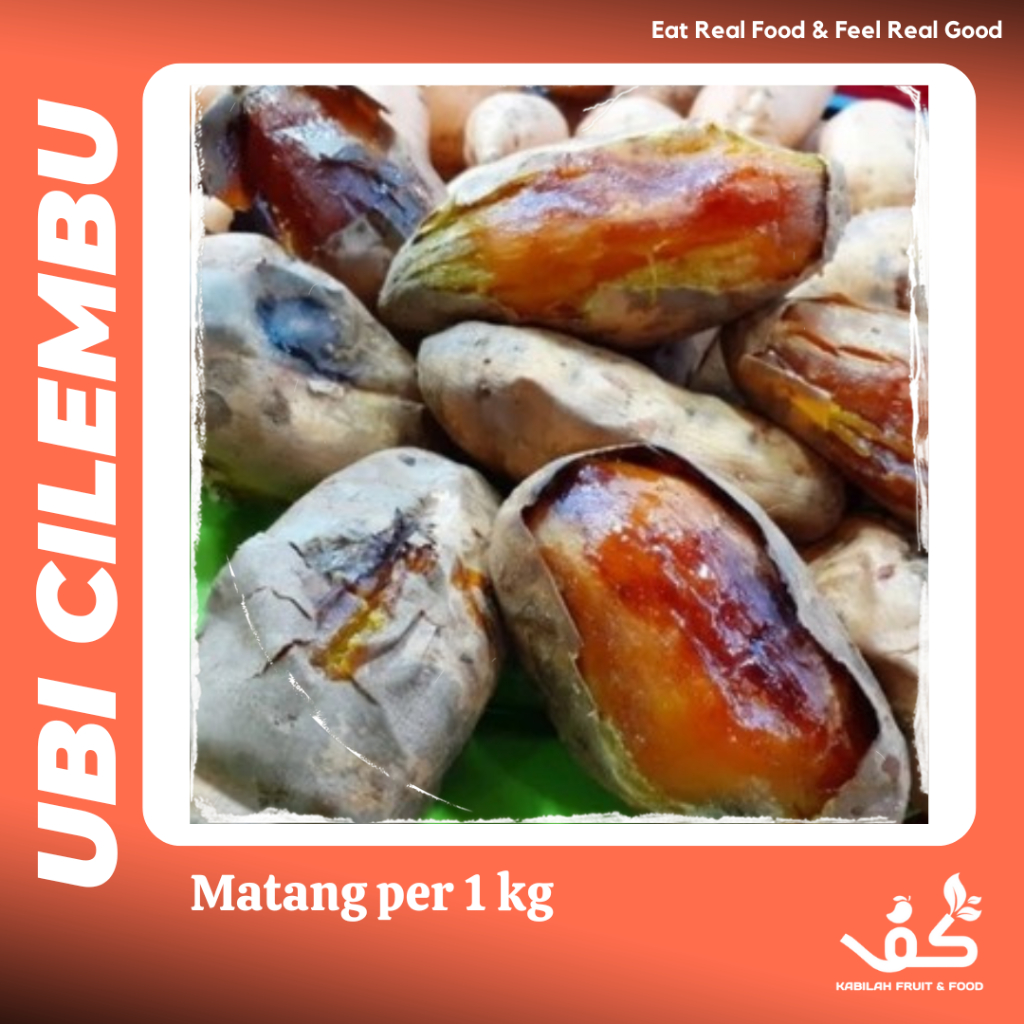 

Ubi Madu Cilembu Matang 1 Kg