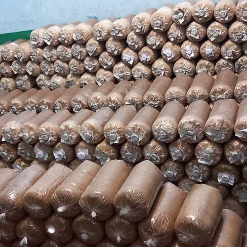 Baglog jamur tiram putih/bibit jamur tiram f3/benih jamur