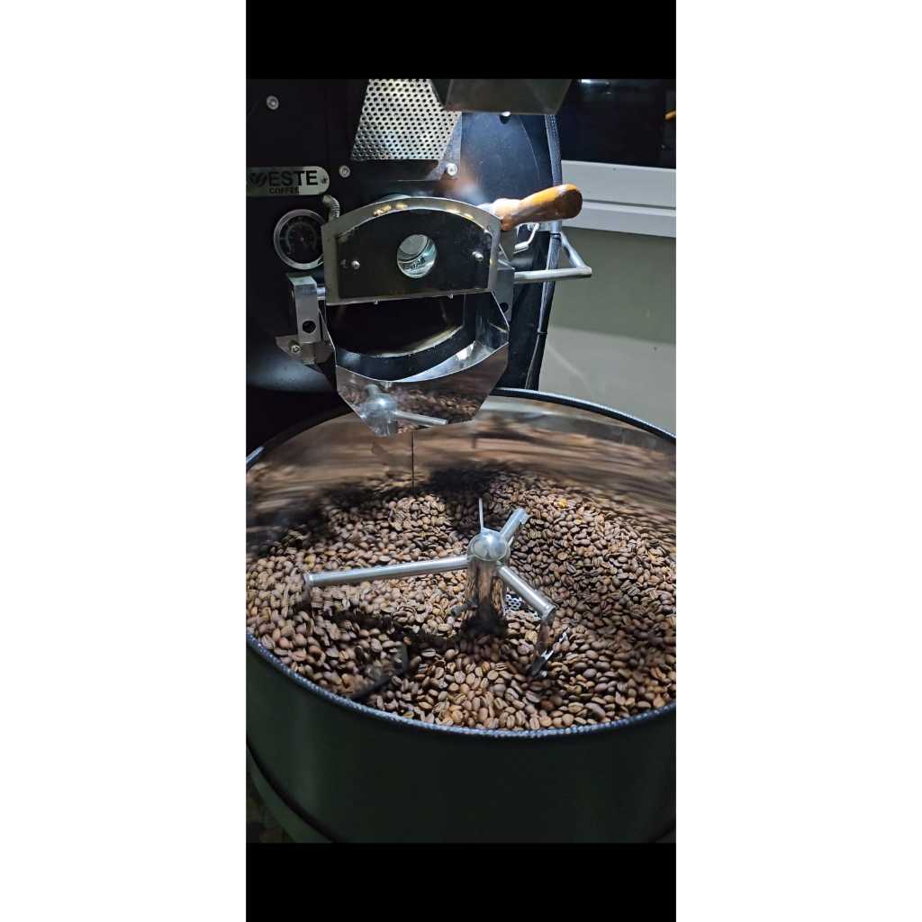 

Forcysn Kopi House Blend Robusta Arabica, Single Origin, Malang, 100% Kopi Murni Pilihan