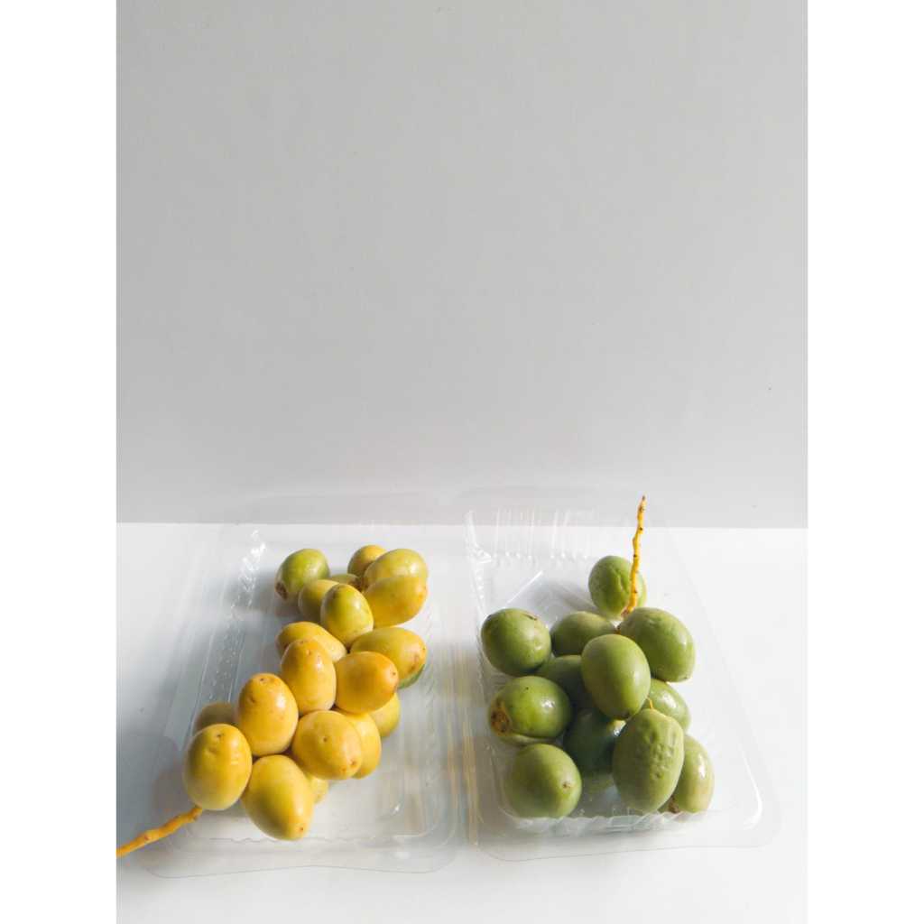 

Kurma Muda Mix 2/Mix2 Promil Fresh Mengkel - 100 gr