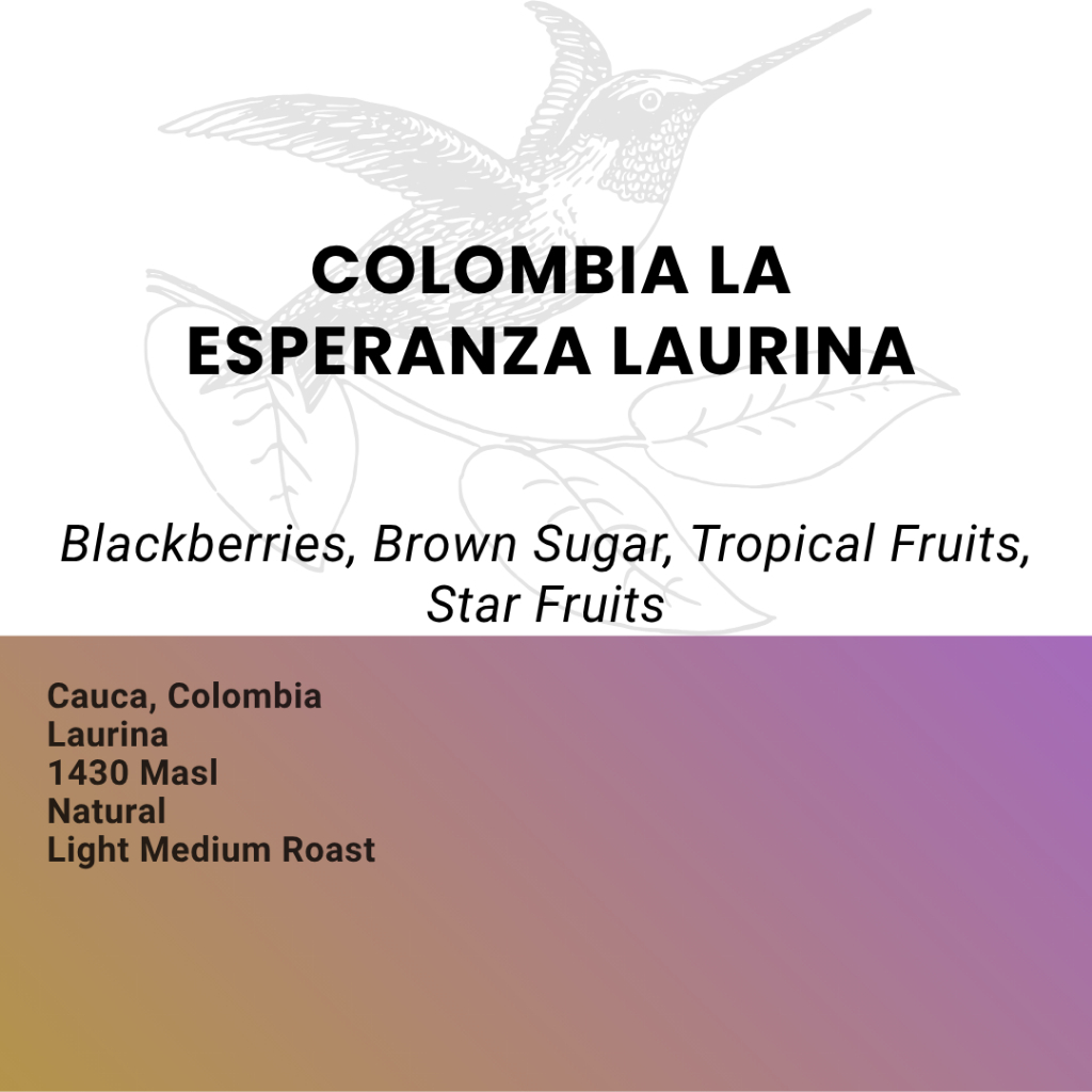 

Kopi Arabika Colombia La Esperanza Laurina - Single Origin Filter