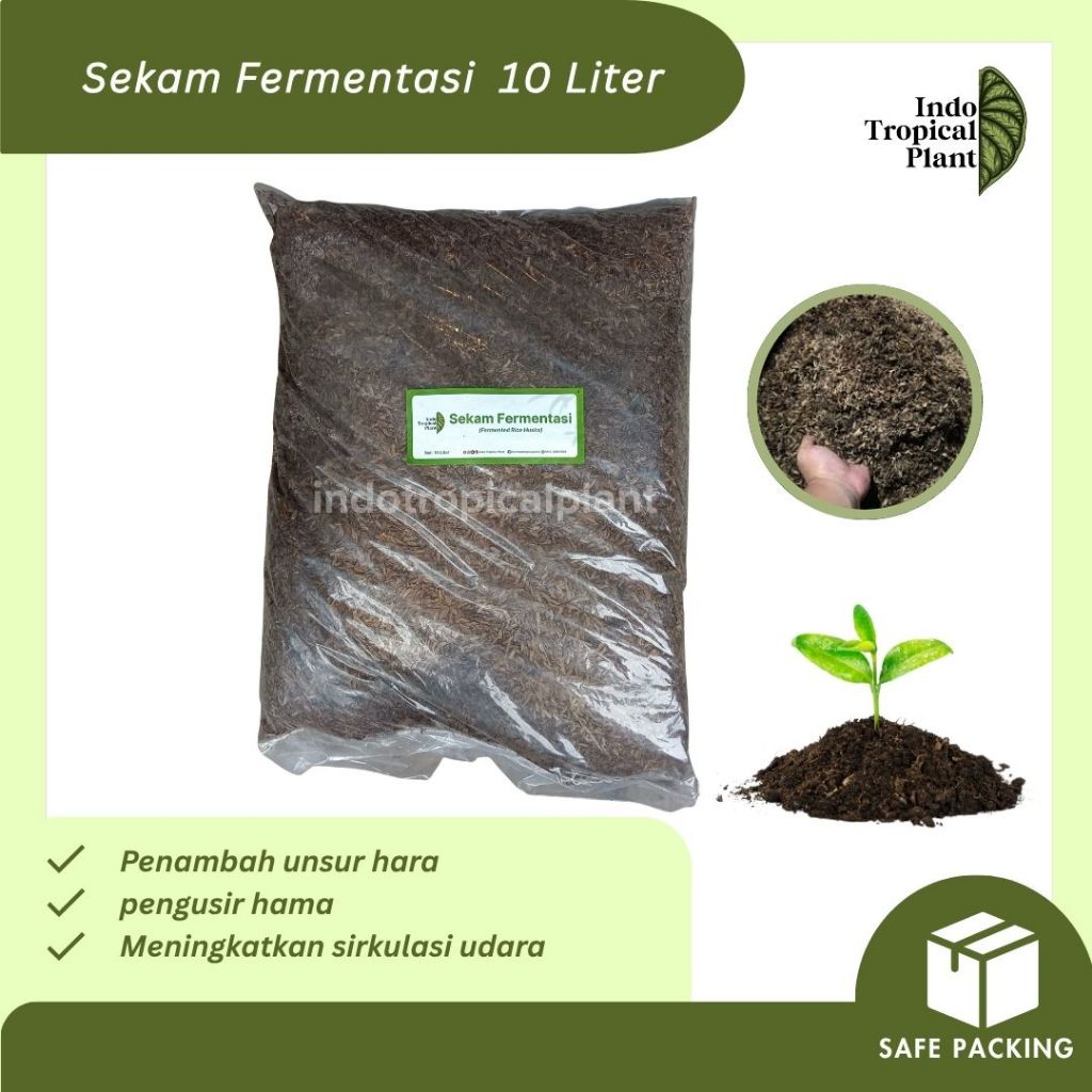 Media Tanam Sekam Fermentasi / Sekam Lapuk Siap Pakai