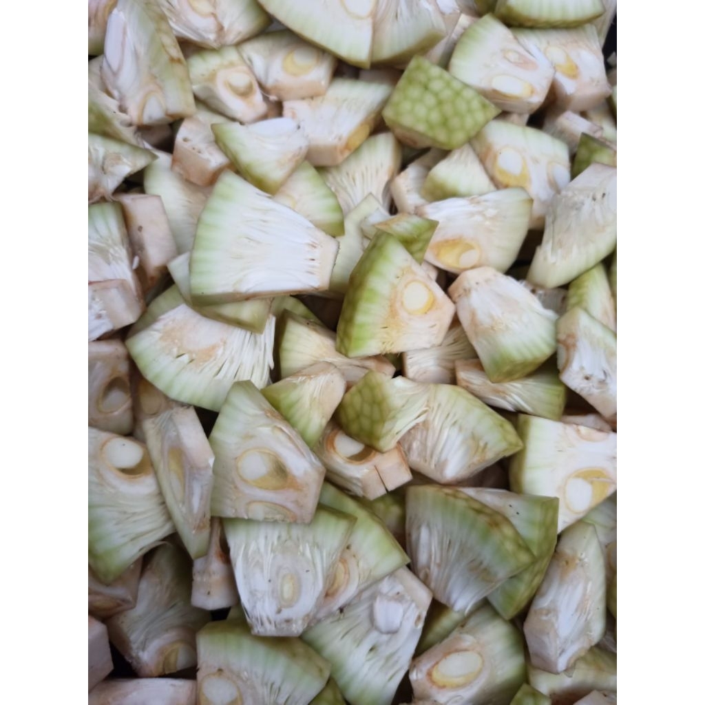 

Nangka muda sayuran tewel 500gr siap masak