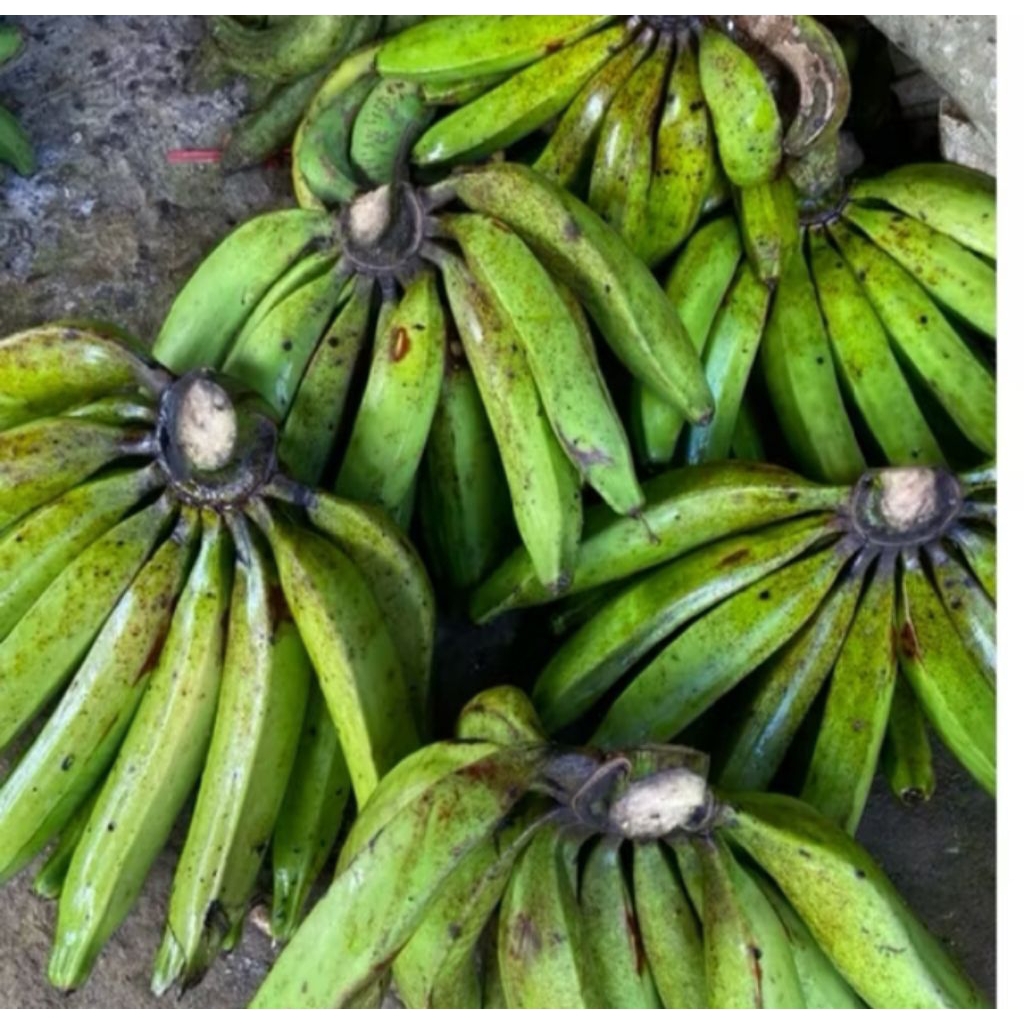 

pisang kapas mentah 1 kg super