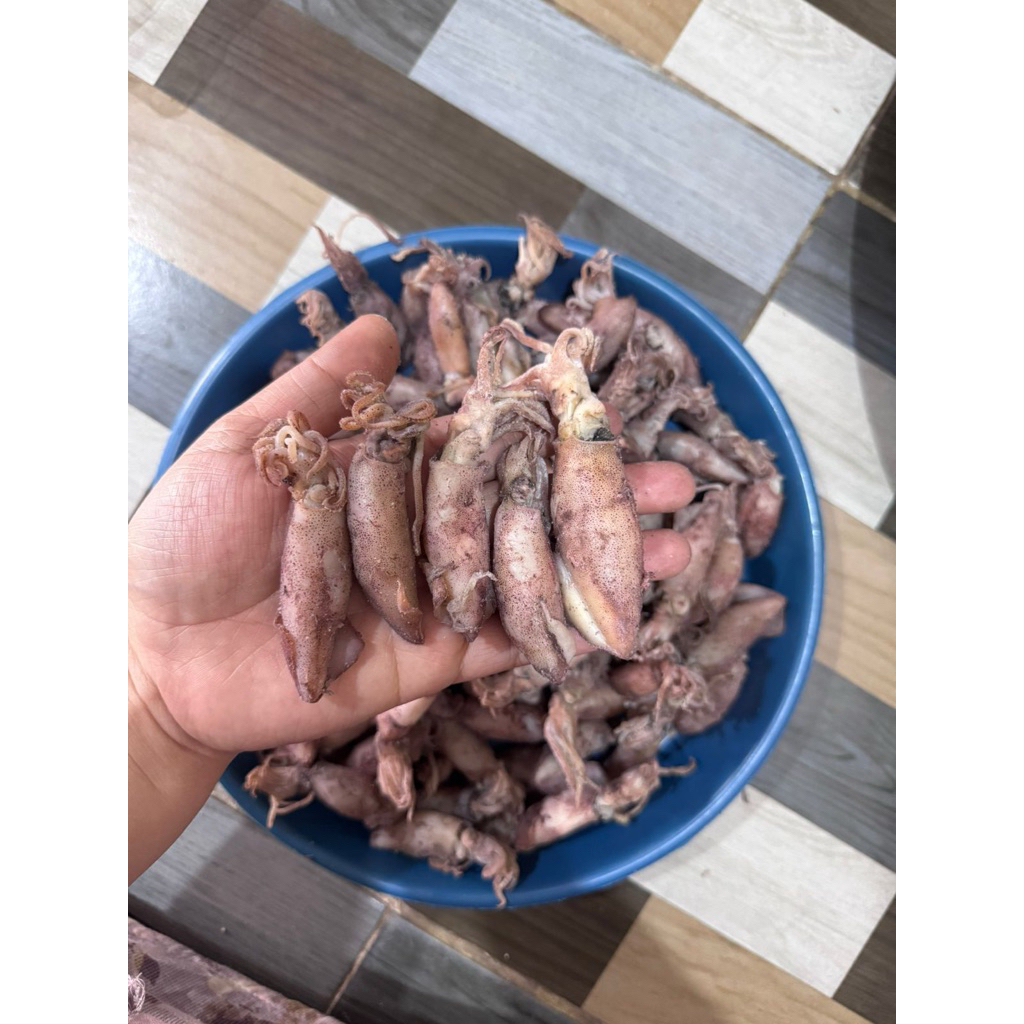 

cumi telor premium
