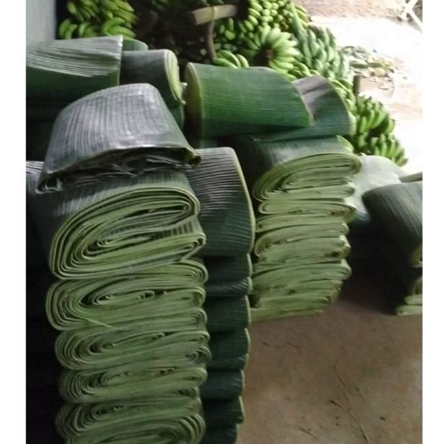 

Daun Pisang segar 1 Kg