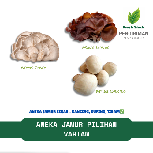 

ANEKA JAMUR VARIAN FRESH | FreshStock