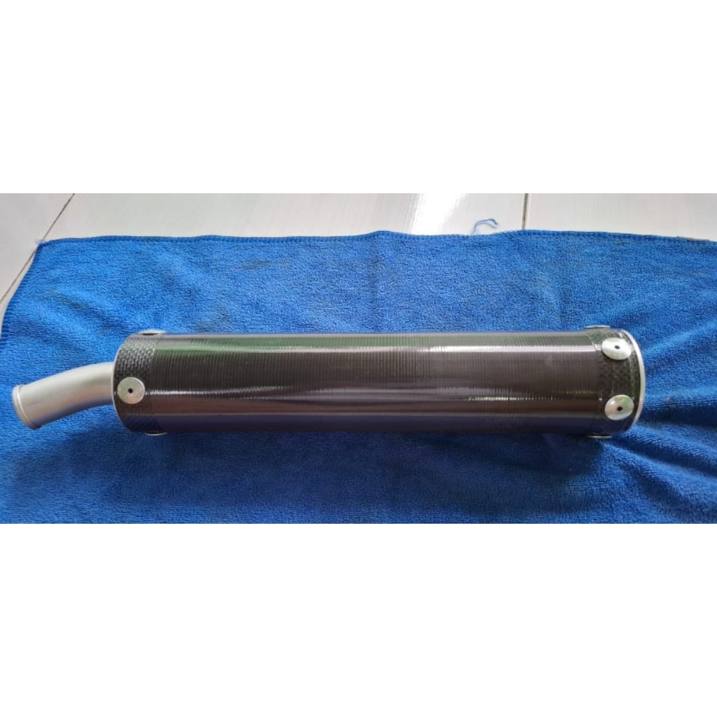 Silencer carbon yamaha tz125 New