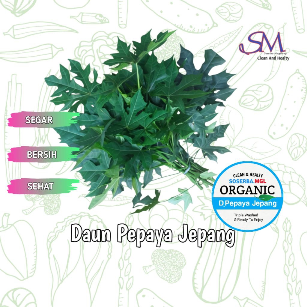 

Daun Pepaya Jepang fresh 1 ikat 250gr