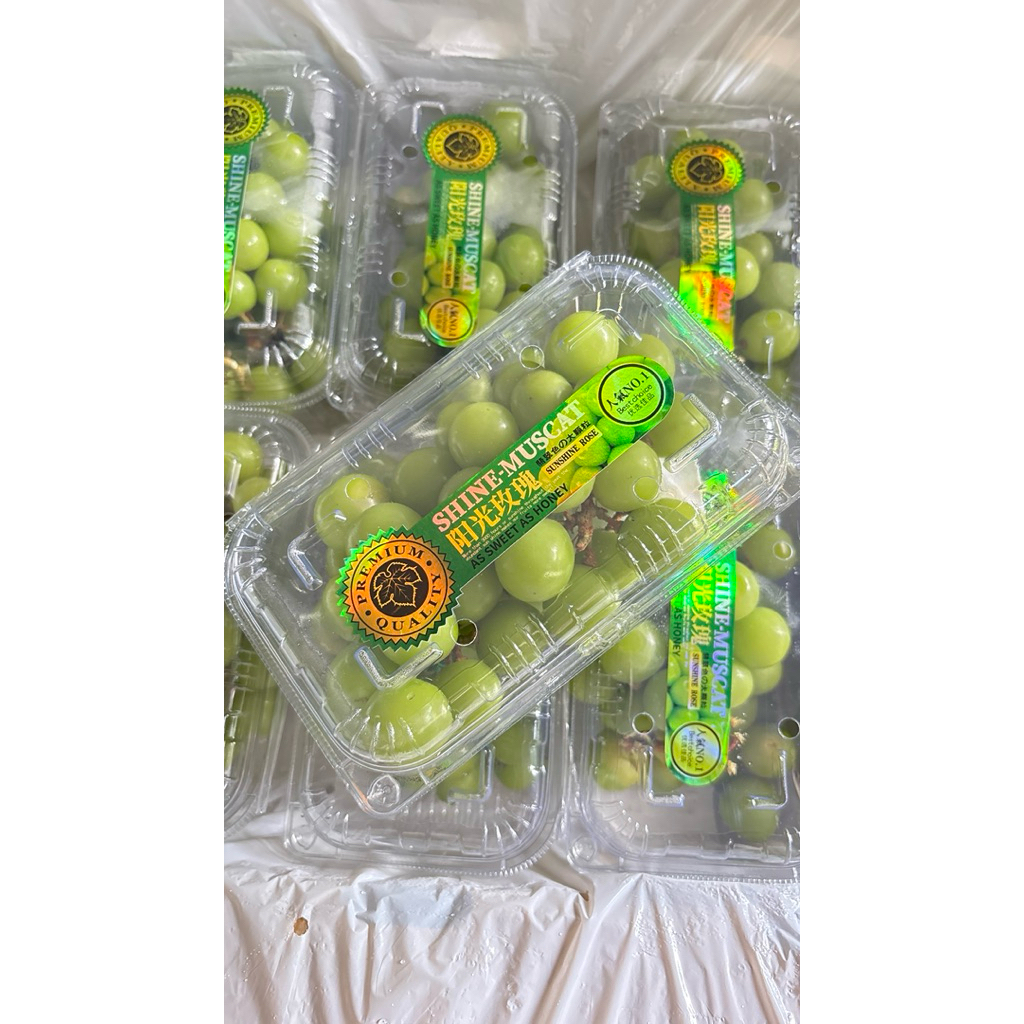 

‼️SIAP KIRIM‼️ ANGGUR SHINE MUSCAT JUMBO MANIS 500GR