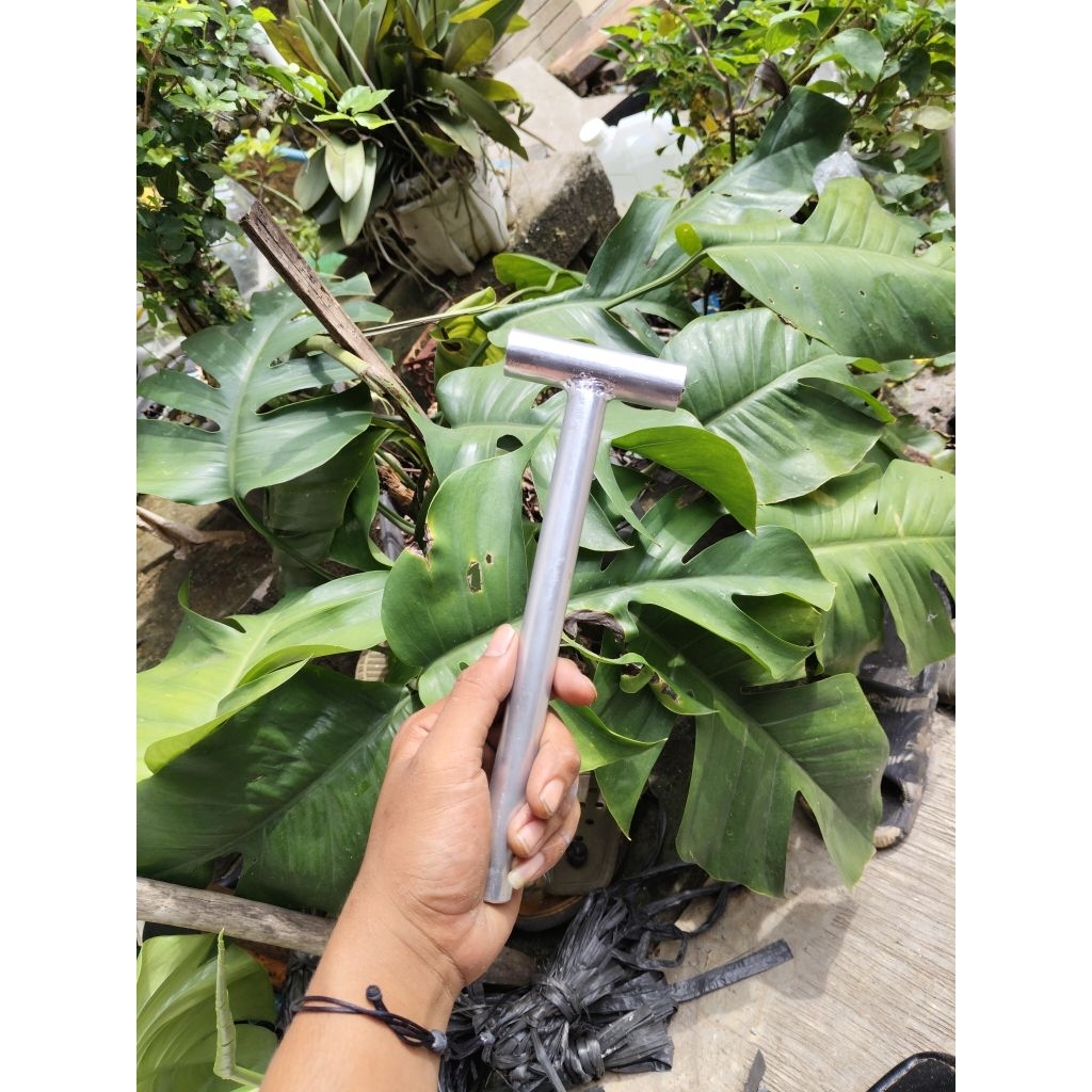 Palu Es Batu Palu Serbaguna