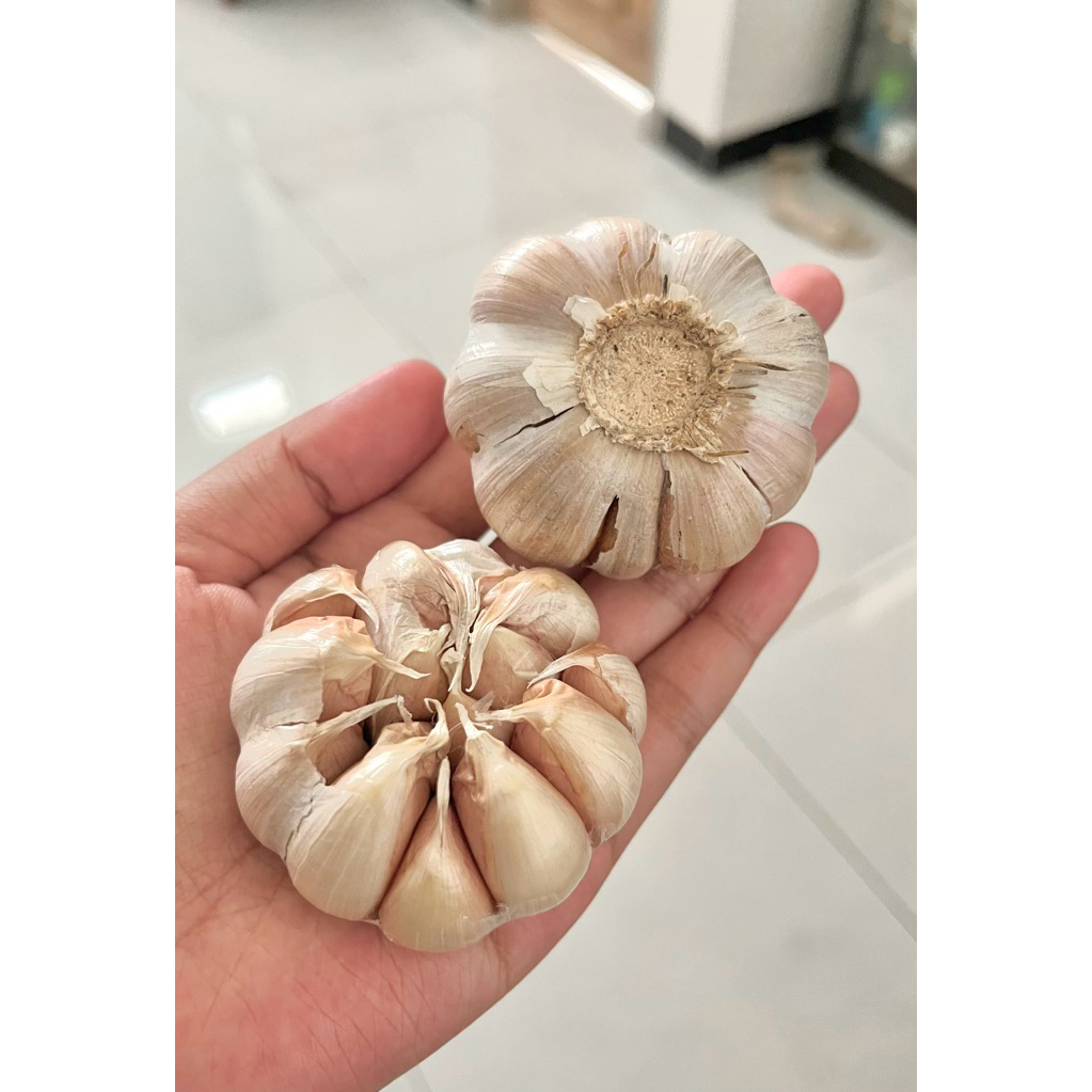 

Bawang Putih Bersih