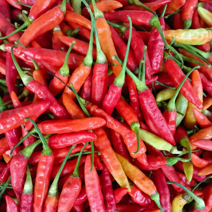 

1000gr cabe rawit merah fress dan segar petik langsung dari sawah