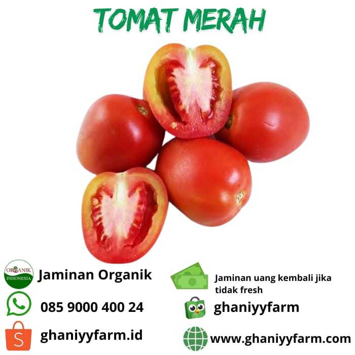 

Sayur Organik Tomat Merah Organik 500 Gram