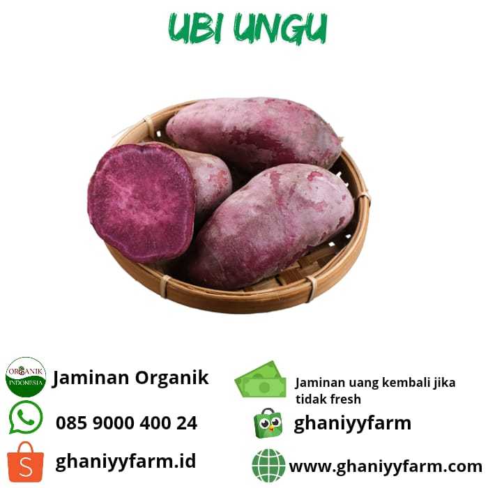 

Ubi Ungu Organik 1kg
