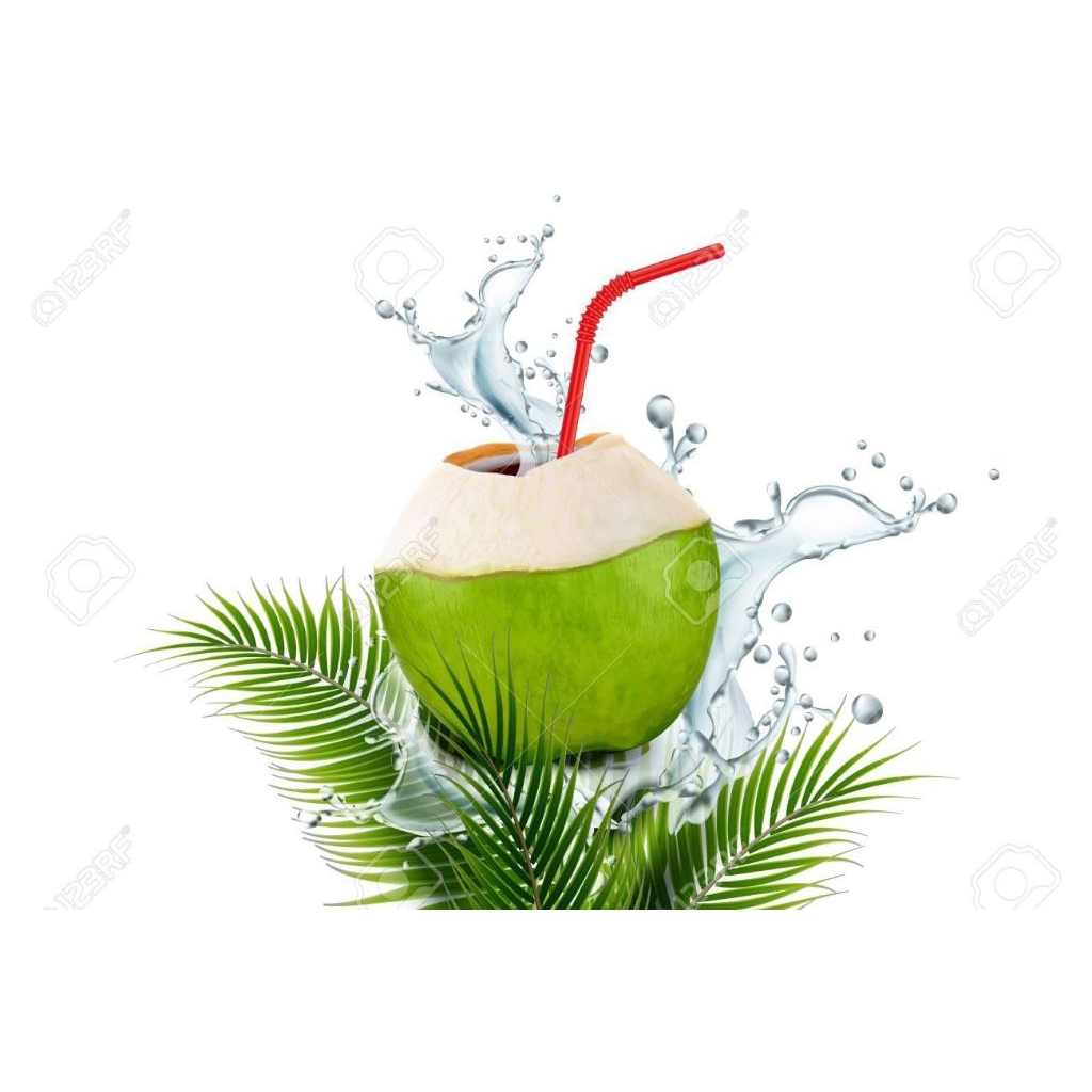 

Kelapa Muda Butiran Bisa Di Tuang Plastik Atau Di Papras saja