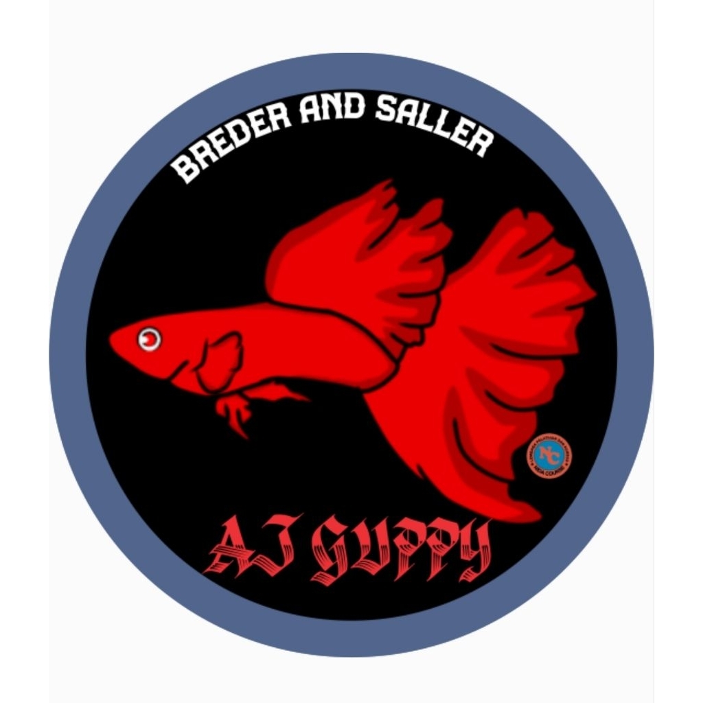 albino koi ribbon long ear