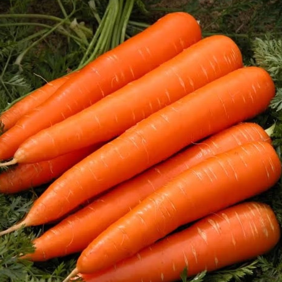 

Wortel segar sayuran organik isi 1kg/500gram