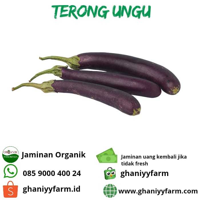 

Sayur Organik Terong Ungu Organik 500 Gram
