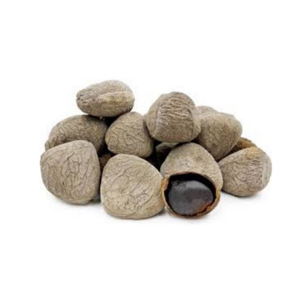 

biji kluwek kluwak keluwek keluwak keluak kepayang pucung