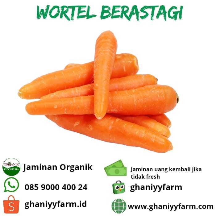 

Sayur Organik Wortel Berastagi Organik 500 Gram