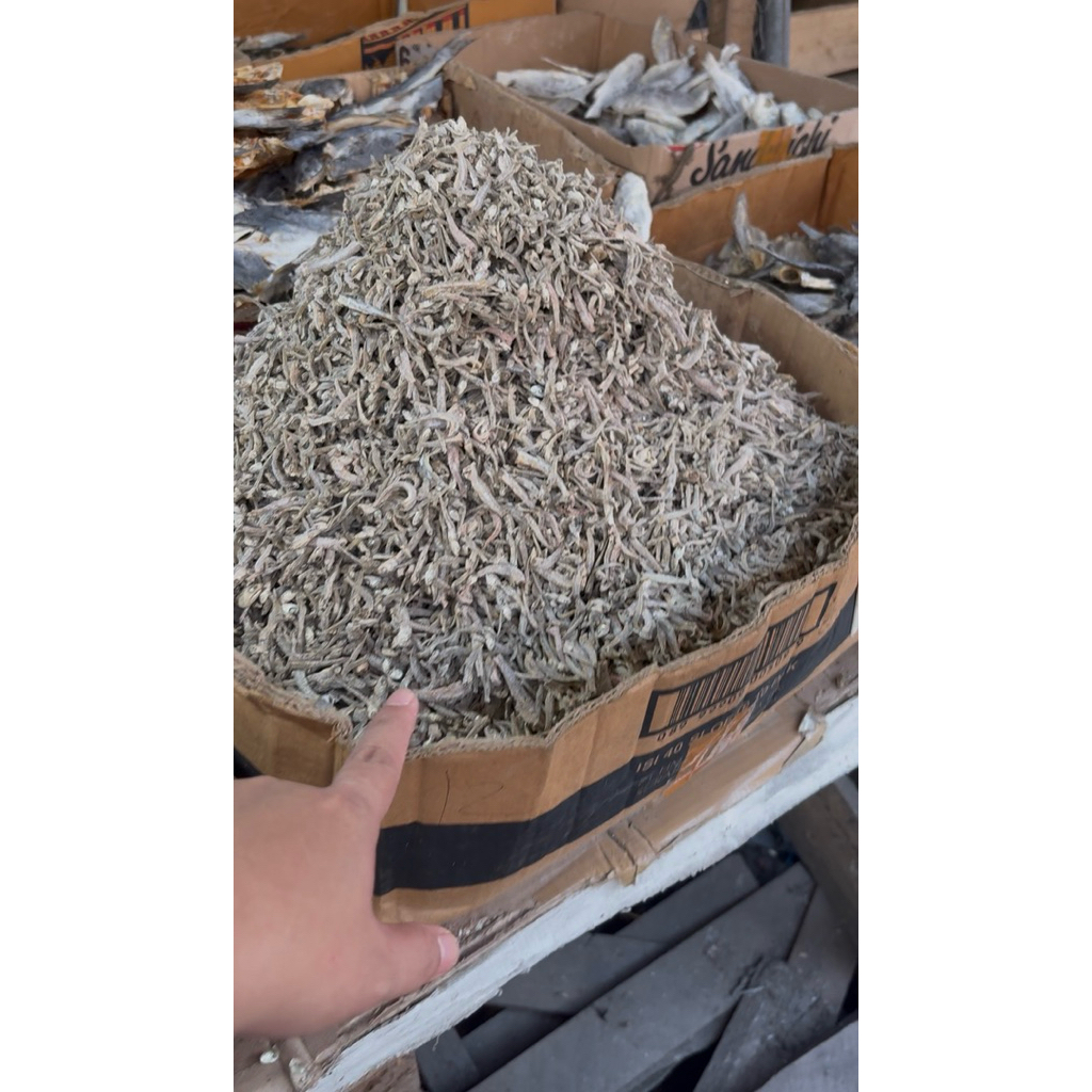

IKAN TERI MEDAN 100gr (1 ons)