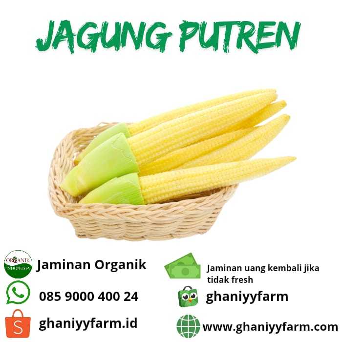 

Sayur Organik Jagung Muda Organik 250 Gram
