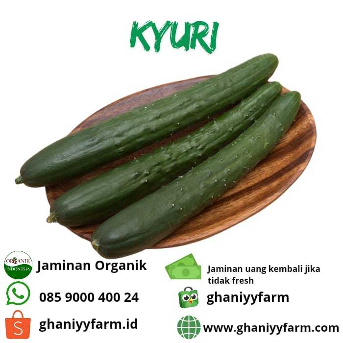 

Kyuri Organik 500 Gram