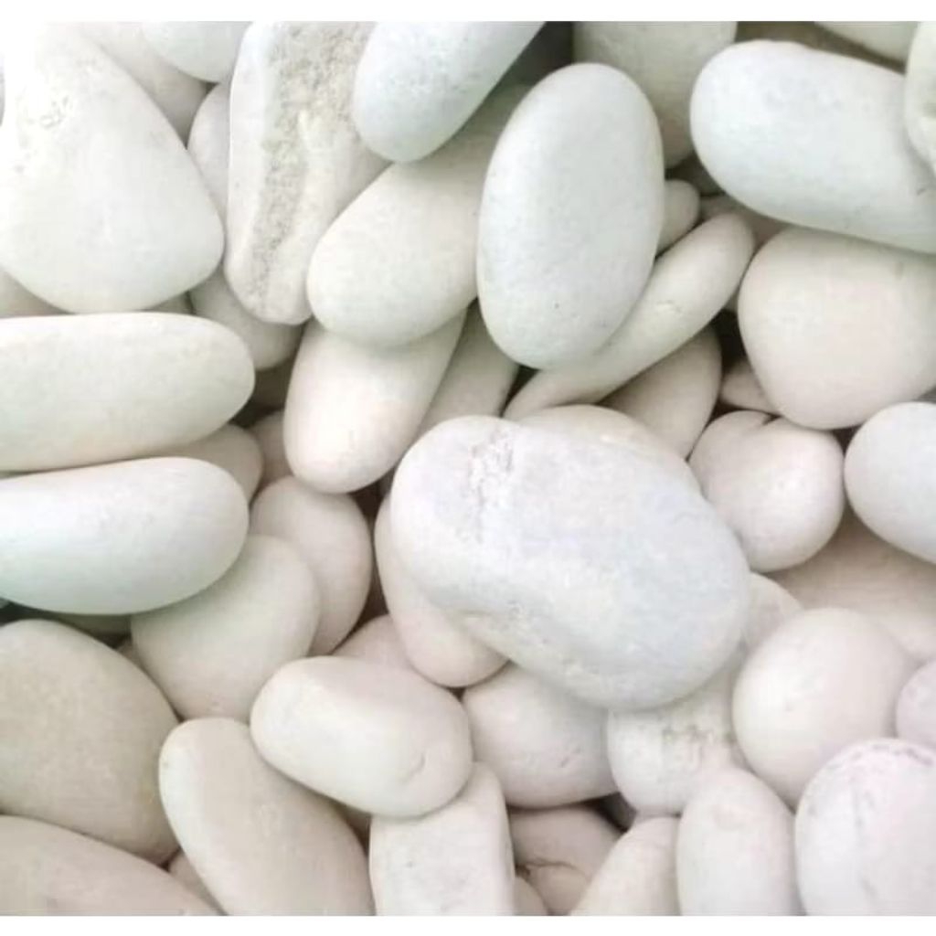 Batu taman putih 1kg/Termurah/Batu koral putih kupang/Batu kupang/Batu taman putih