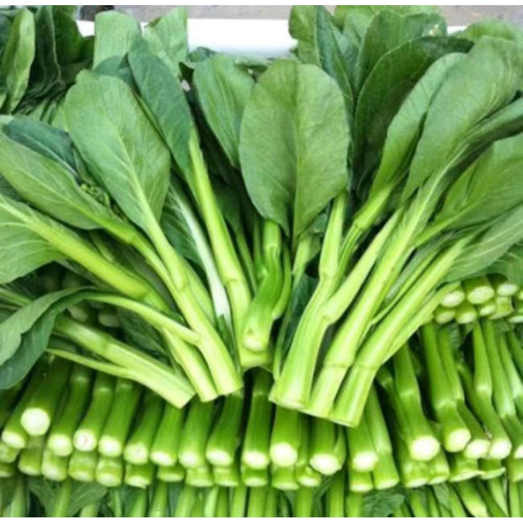 

baby kailan sayur fresh