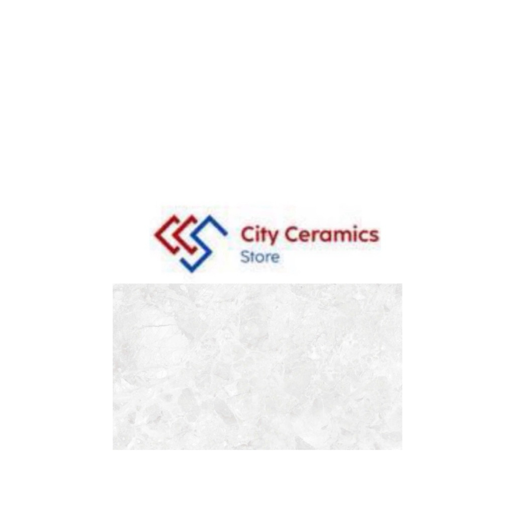 ROMAN GRANIT DNAXOS SILVER  60x30