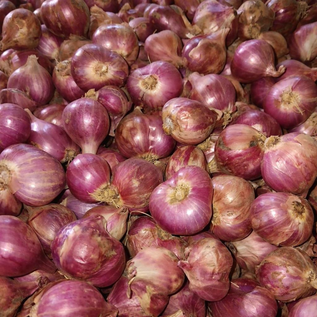 

BAWANG MERAH galekan 1kg