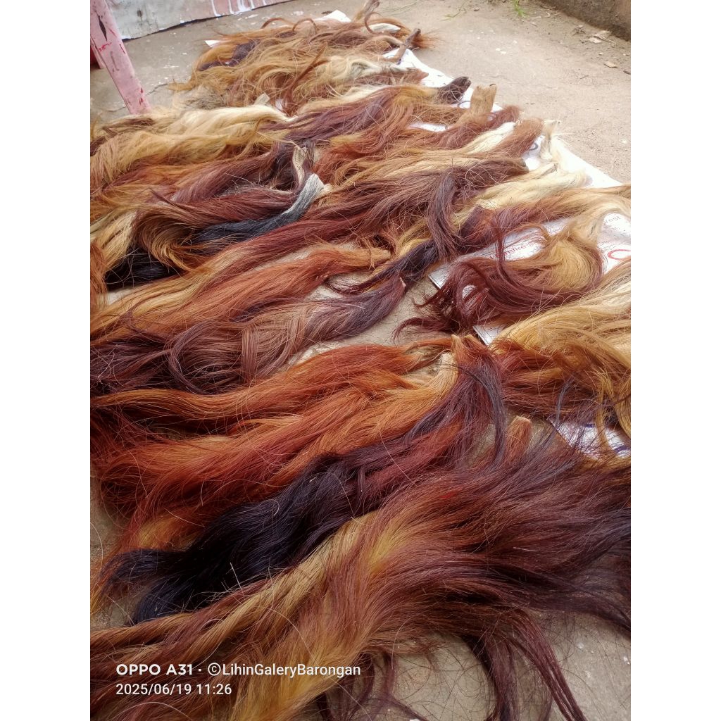 Rambut Sapi Rambut Barongan Ekor Sapi Non Garam