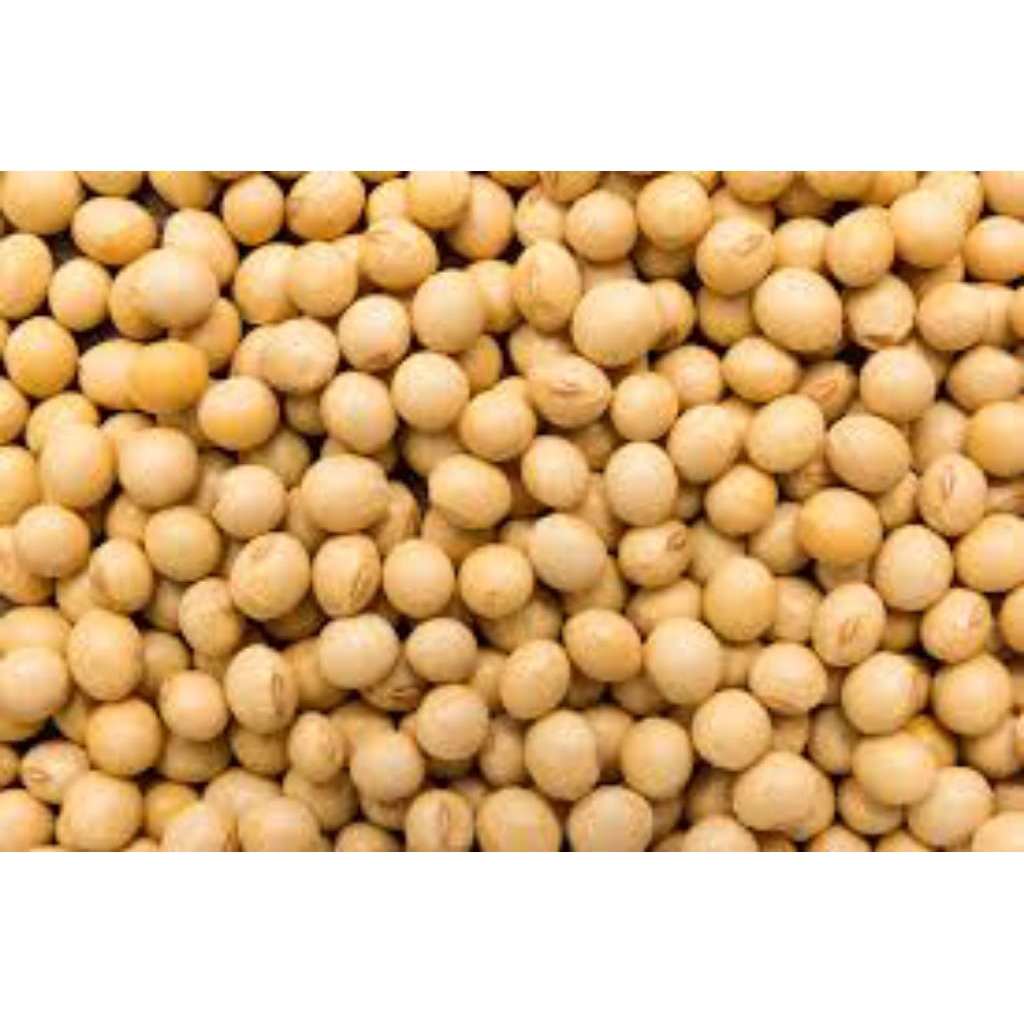 

Kacang kedelai super import 10 KG kedelai USA SOYBEAN