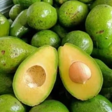 

Alpukat Mentega Solok Berat 1000gr