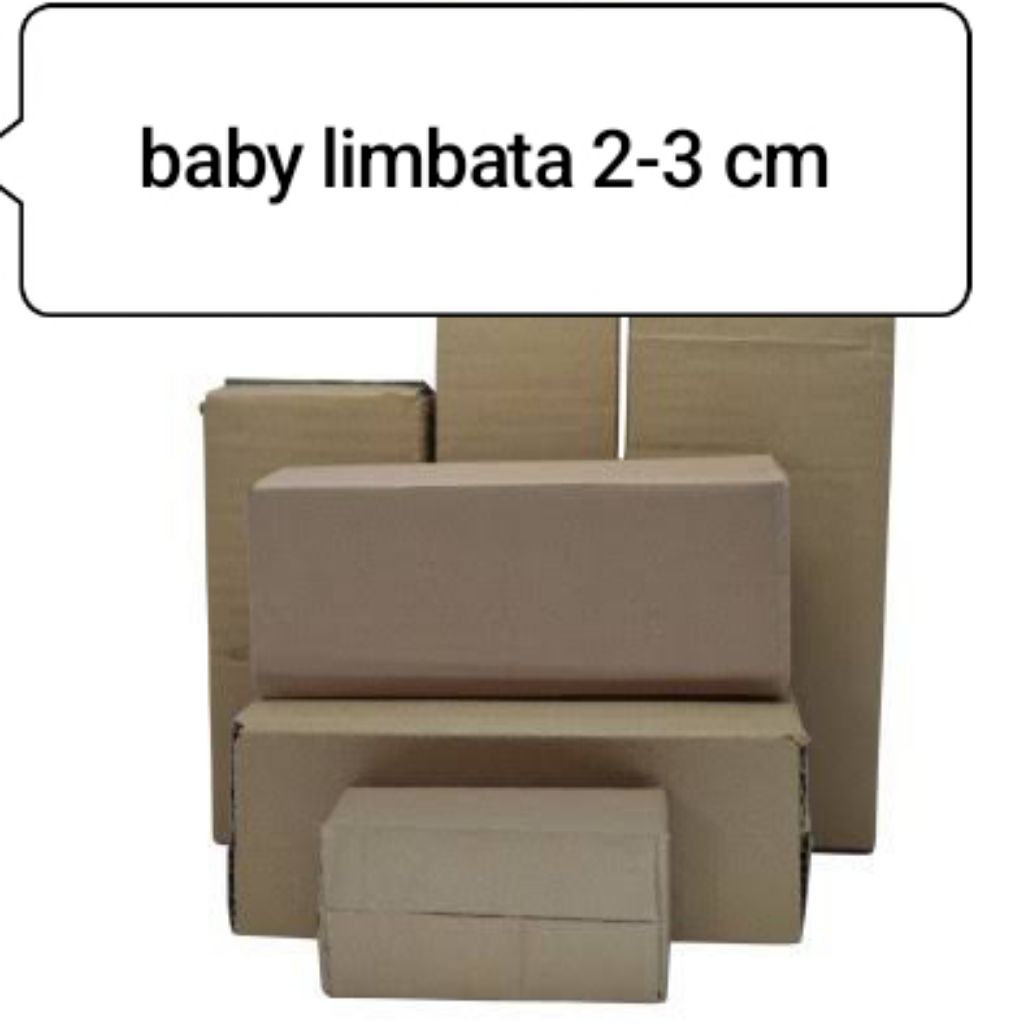 baby limbata cb 2-3 cm isi 10 ekor sehat dan bagus